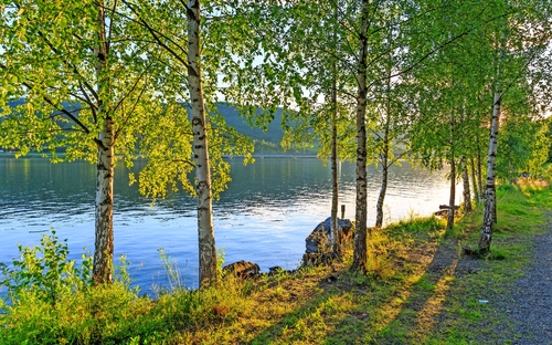 Schwedischer Sommer - © korkeakoski - stock.adobe.com