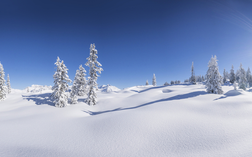 Winterpanorama in Vorarlberg - ©Netzer Johannes - stock.adobe.com
