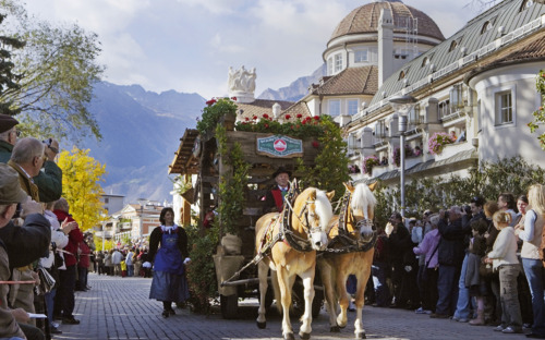 Traubenfest Meran - Festumzug