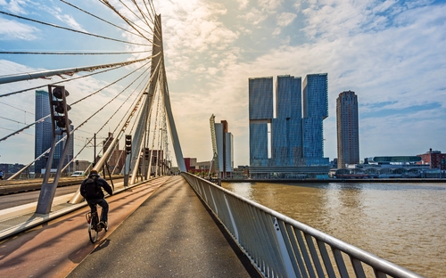  Rotterdam - Erasmusbrücke - © djama - stock.adobe.com