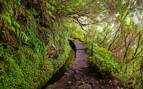 Levada Caldeirao Verde - Wanderweg - © Anna Lurye - stock.adobe.com
