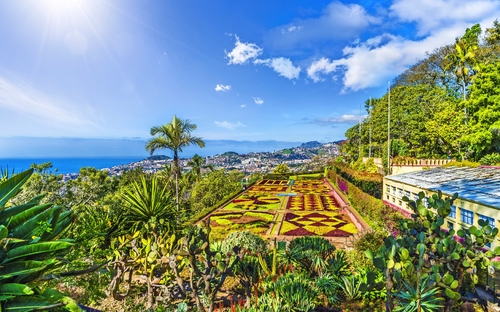 Funchal - Botanical Garden - © Balate Dorin - stock.adobe.com