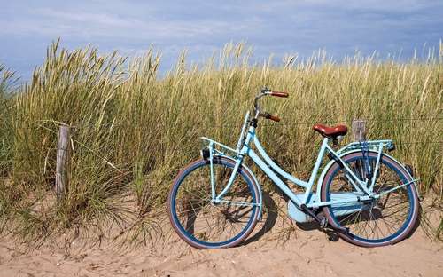 Niederländisches Flair - © Bjrn Wylezich - Fotolia