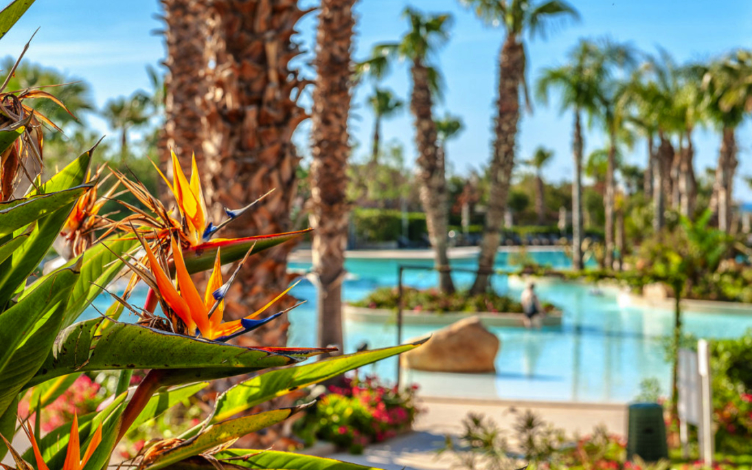 Acacia Resort Parco dei Leoni - Pool
