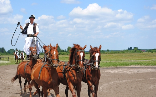 Puszta - Show - © DH - Fotolia