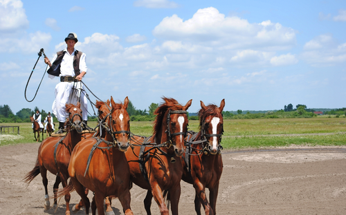 Puszta - Show - © DH - Fotolia