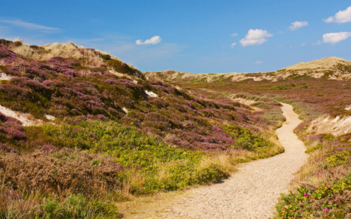 Sylt - Dünenlandschaft - © Thorsten Schier - Fotolia