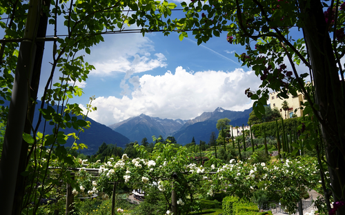 Meran im Frühling - © tina7si - stock.adobe.com
