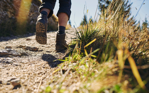 Wanderparadies - © Corinna - stock.adobe.com