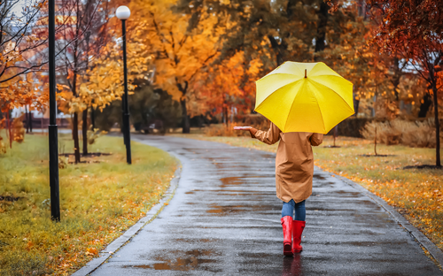 Herbst-Spaziergang - © africa-studio.com (Olga Yastremska and Leonid Yastremskiy)