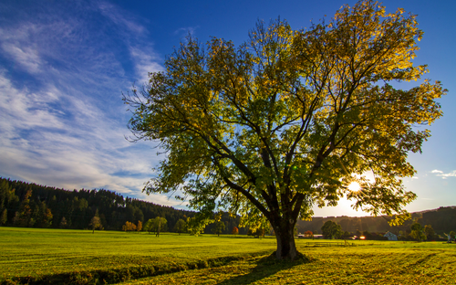 Herbstlandschaft - © Dominik Ultes - stock.adobe.com