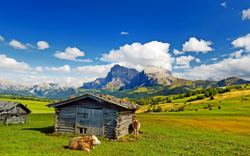 Seiser Alm - © MNStudio - stock.adobe.com