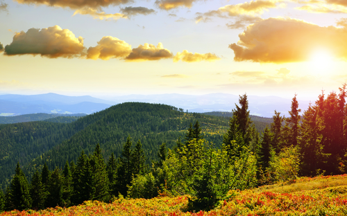 Bayerischer Wald - ©vencav - stock.adobe.com