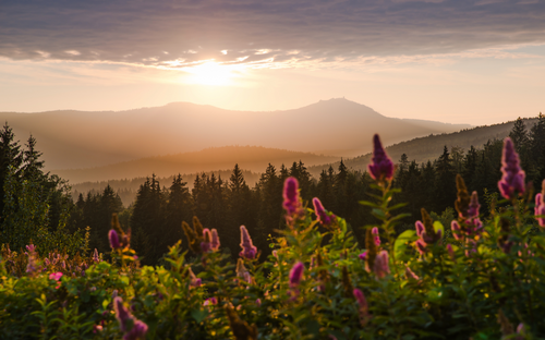 Großer Arber im Bayerischen Wald bei Sonnenuntergang - © darknightsky - stock.adobe.com