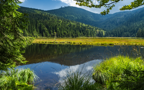Kleiner Arbersee im Bayerischen Wald - ©Eberhard - stock.adobe.com