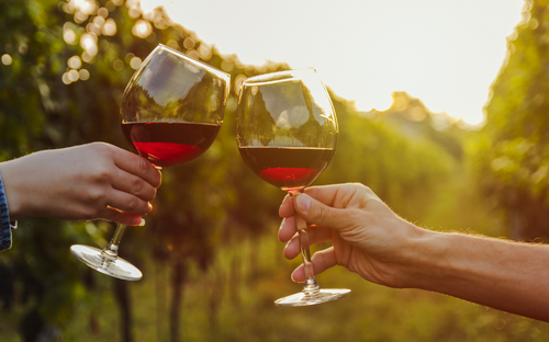 Weinprobe - ©NDStock - stock.adobe.com