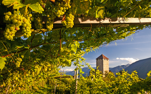 Bozen - Schloss Tirol - © Pixelshop - Fotolia