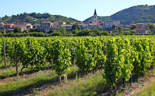 Tain-l'Hermitage - © into the wild - stock.adobe.com
