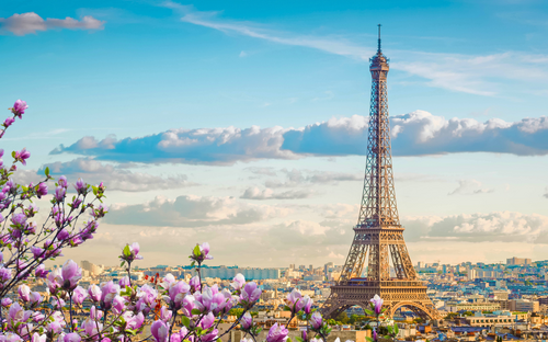 Paris im Frühling: Der Eiffelturm über den Dächern der Stadt, umrahmt von blühenden Magnolien - © Anastasia Collection