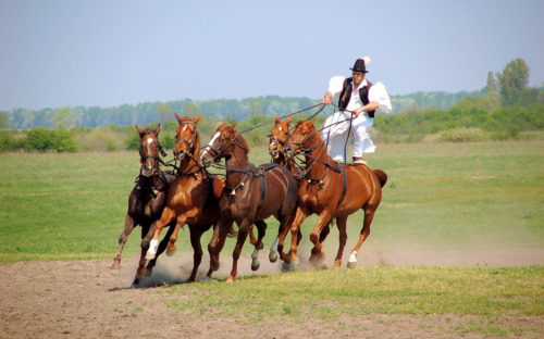 Puszta-Reiter