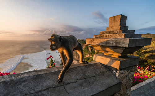 Bali - Uluwatu-Tempel - © rene gamper - stock.adobe.com