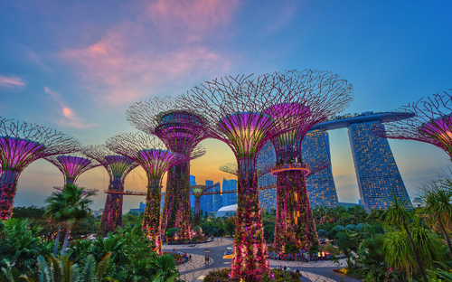 Singapur - Gardens By The Bay - © Noppasinw - stock.adobe.com