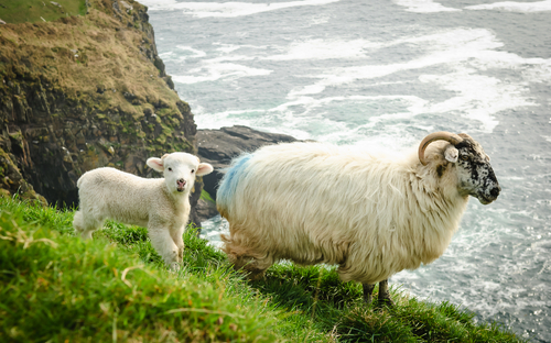 Irland - Dingle - © Jeff Baumgart - stock.adobe.com