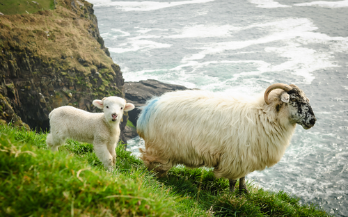 Irland - Dingle - © Jeff Baumgart - stock.adobe.com