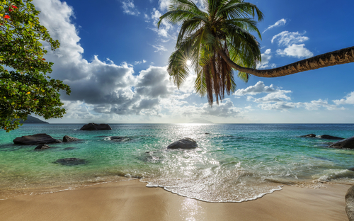 St. Kitts & Nevis