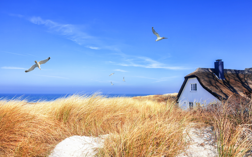 Haus in den Dünen - ©Nordreisender - stock.adobe.com