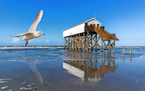 St. Peter-Ording - © animaflora - stock.adobe.com