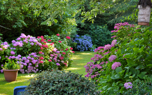 Britischer Garten - © Â©aquaphoto - stock.adobe.com