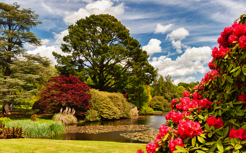 Sheffield Park - © Alan Smithers - stock.adobe.com