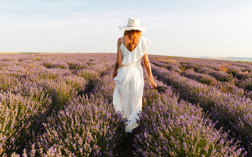 Urlaub in der Provence - © 2018 Shift Drive/Shutterstock