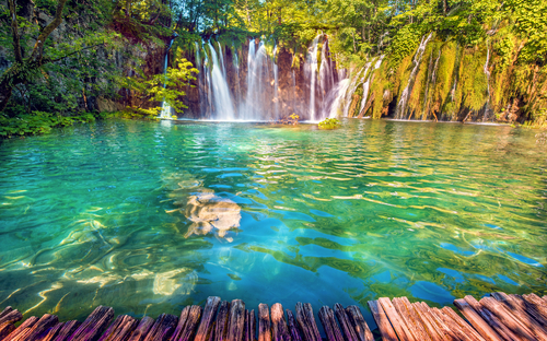 Nationalpark Plitvicer Seen - ©anko_ter - stock.adobe.com