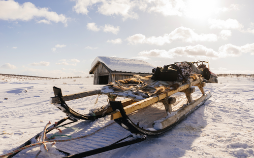 Schlitten - ©nelen.ru - stock.adobe.com
