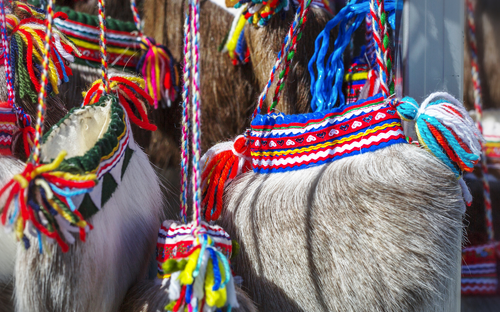 Sami-Tasche - © maylat - stock.adobe.com