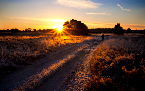 Lüneburger Heide im Winter - © Meike_I - stock.adobe.com
