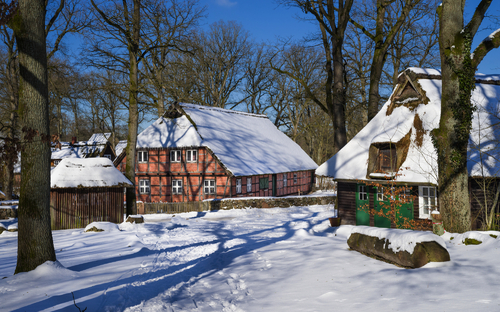 Lüneburger Heide - © Carl-Jürgen Bautsch - stock.adobe.com