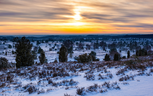 Naturpark Lüneburger Heide - © foto-select - stock.adobe.com