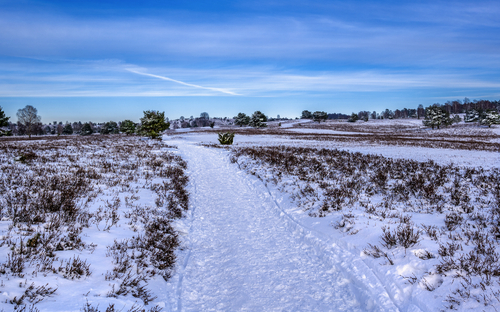 Naturpark Lüneburger Heide - © foto-select - stock.adobe.com