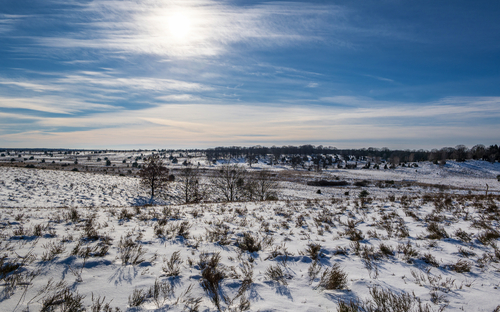 Naturpark Lüneburger Heide im Winter - © foto-select - stock.adobe.com