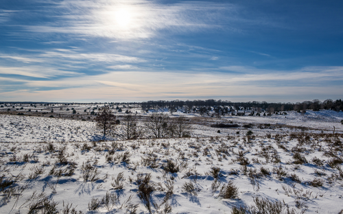 Naturpark Lüneburger Heide im Winter - © foto-select - stock.adobe.com