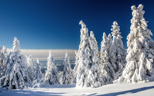Bayerischer Wald - Winterlandschaft - © bietau - stock.adobe.com