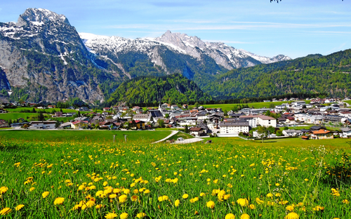 Blick auf Abtenau