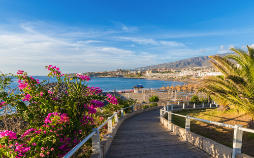 Playa de Fañabé an der Costa Adeje auf Teneriffa - ©Kess16 - stock.adobe.com