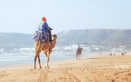 Beduine reitet auf einem Kamel am Hauptstrand von Agadir - © Jan - stock.adobe.com