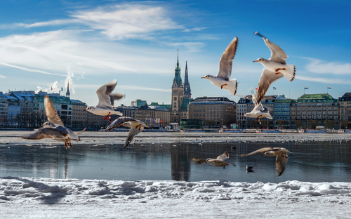 Hamburg im Schnee - © Alexander Kassner Alex K. Media
